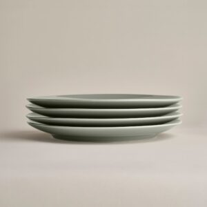 Glossy Ceramic Dinner Plates 10.7 Inch